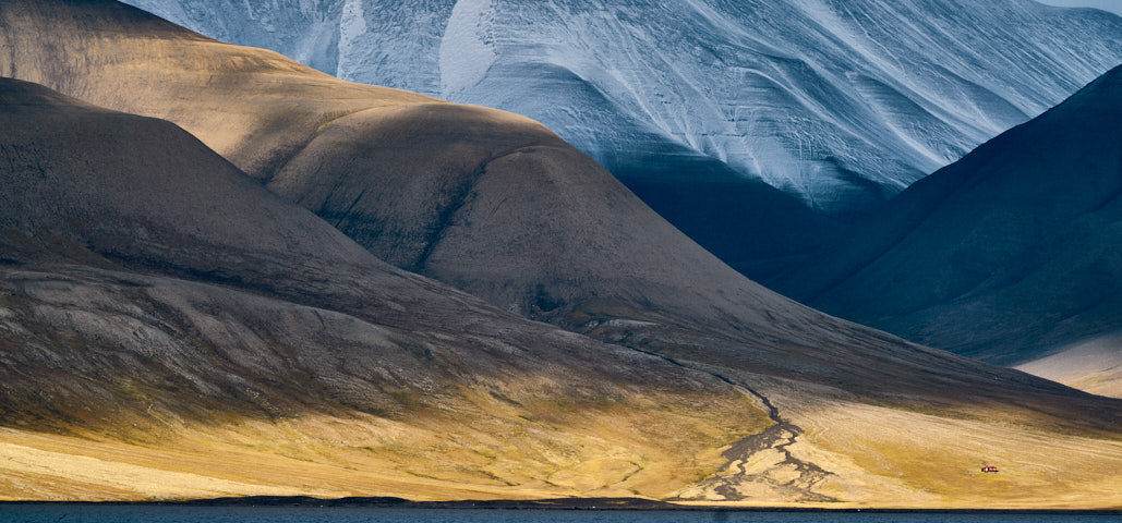 Coast of Adventfjorden