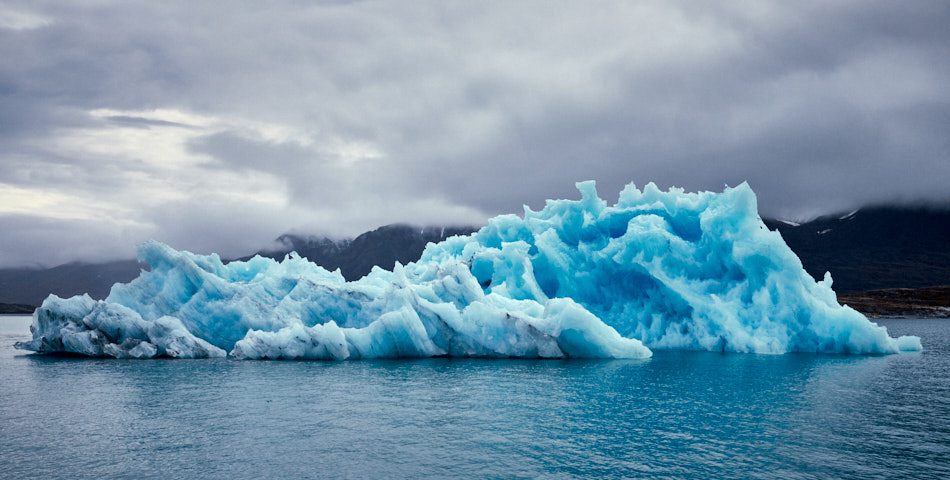 Iceberg, Liefdefjorden