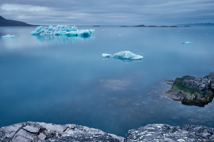 Arctic Tranquility, Liefdefjorden