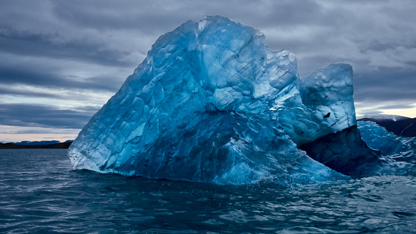 Floatint Ice, Liefdefjorden