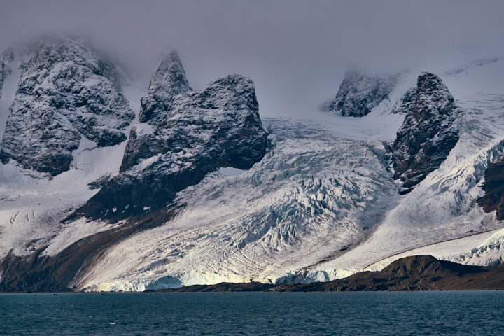 Glacier, Grimaldibukta