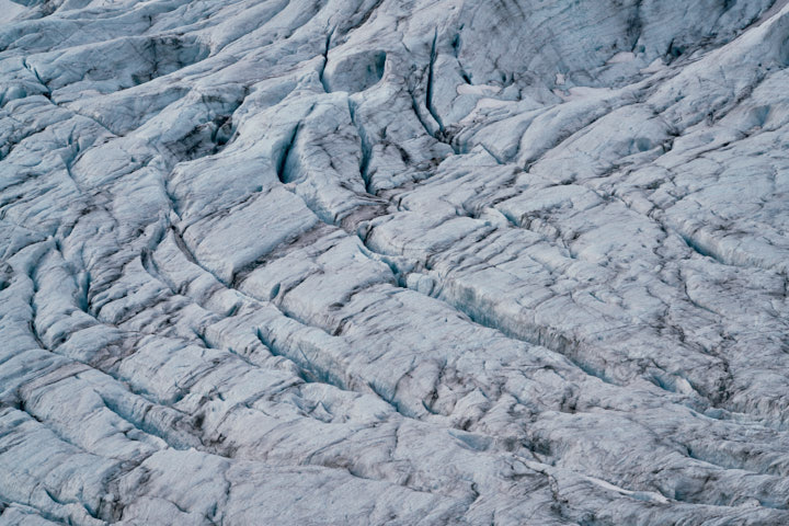 Glacier, Grimaldibukta